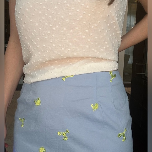 White Label Lilly Pulitzer Crab and Lobster Skirt size 10 - Picture 5 of 5